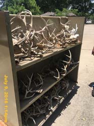 IMG_8297