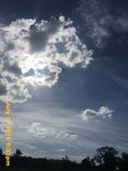 IMG_8373