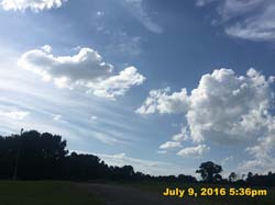 IMG_8375