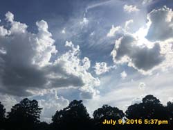 IMG_8377