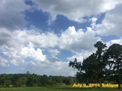 IMG_8381