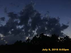 IMG_8431