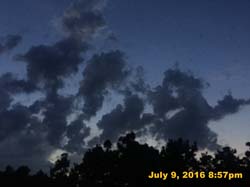 IMG_8434