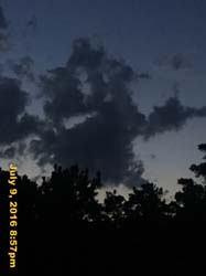 IMG_8435
