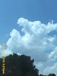 IMG_8588