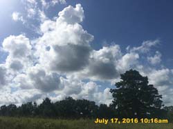 IMG_8713