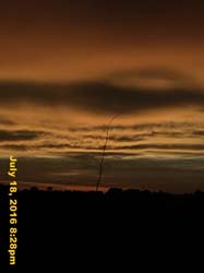IMG_8856