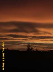 IMG_8859
