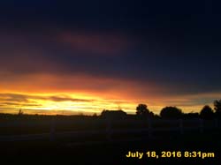IMG_8860