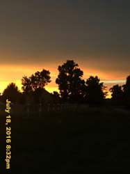 IMG_8861