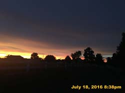 IMG_8865