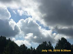 IMG_8881