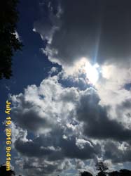IMG_8882