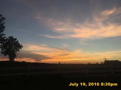 IMG_8920