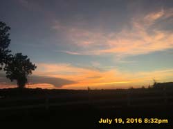 IMG_8922