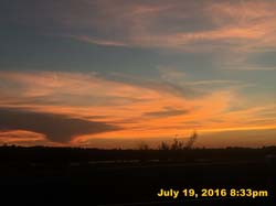 IMG_8924