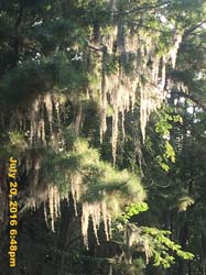 IMG_8986