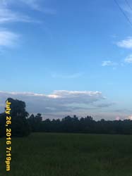 IMG_9238