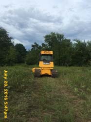 IMG_9335