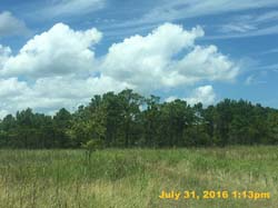 IMG_9434