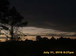 IMG_9452