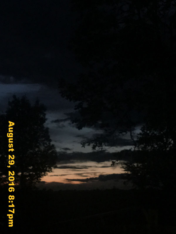 IMG_1374