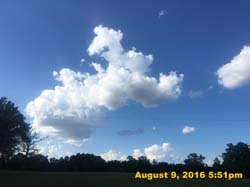 IMG_0155