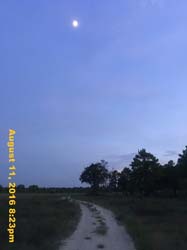 IMG_0207