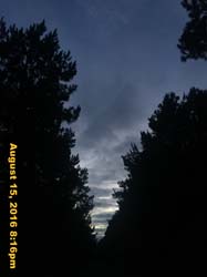 IMG_0449