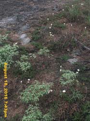 IMG_0637