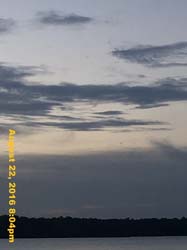 IMG_0880