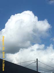 IMG_0952
