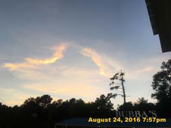 IMG_0960