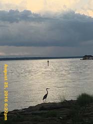 IMG_1006