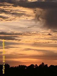 IMG_1047