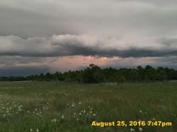 IMG_1057