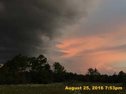 IMG_1069