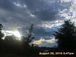 IMG_1281