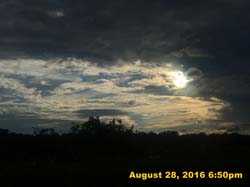 IMG_1285