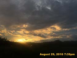 IMG_1348