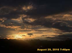IMG_1350