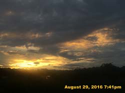 IMG_1353