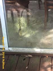 IMG_1387