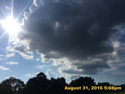 IMG_1483