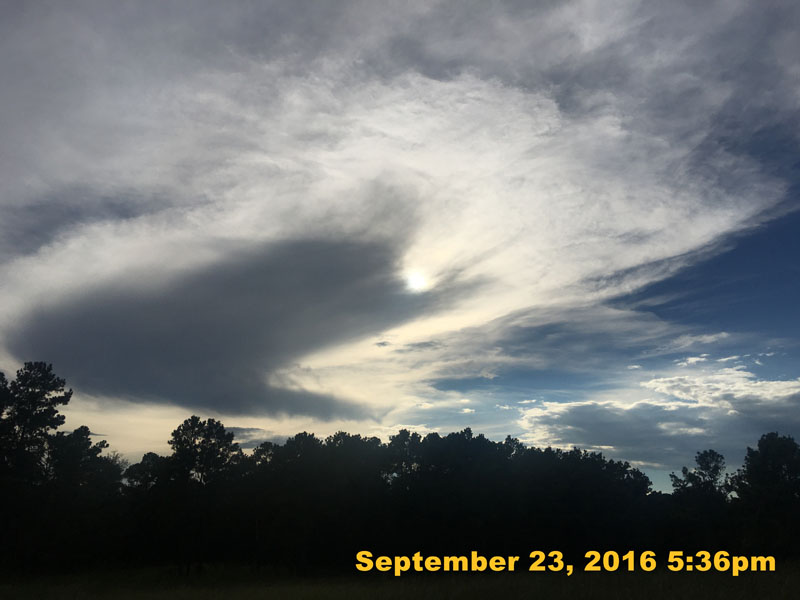 IMG_2714