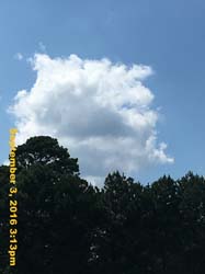 IMG_1580