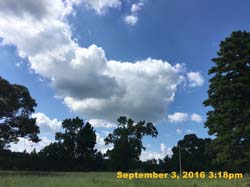 IMG_1583