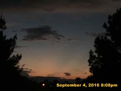 IMG_1649