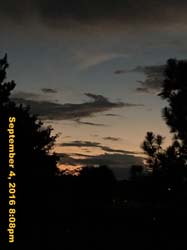 IMG_1650