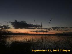 IMG_2651